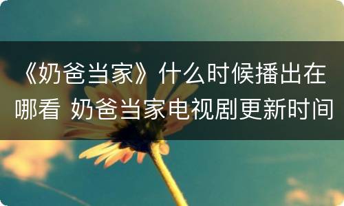 《奶爸当家》什么时候播出在哪看 奶爸当家电视剧更新时间