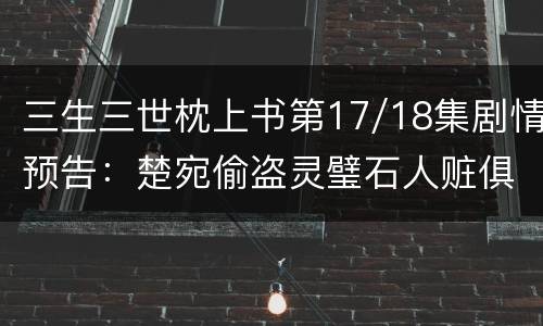 三生三世枕上书第17/18集剧情预告：楚宛偷盗灵璧石人赃俱获