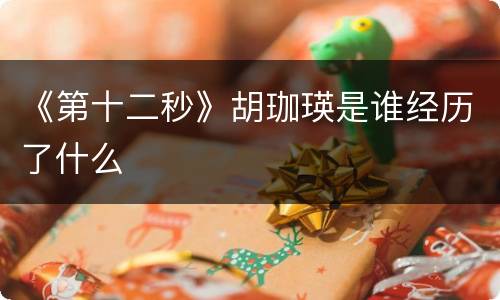 《第十二秒》胡珈瑛是谁经历了什么