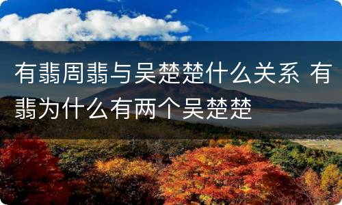 有翡周翡与吴楚楚什么关系 有翡为什么有两个吴楚楚