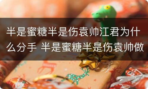 半是蜜糖半是伤袁帅江君为什么分手 半是蜜糖半是伤袁帅做了什么让江君无法原谅