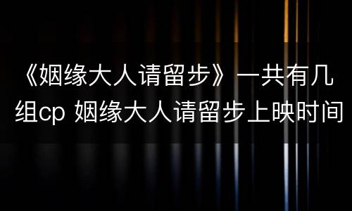 《姻缘大人请留步》一共有几组cp 姻缘大人请留步上映时间