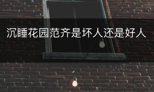 沉睡花园范齐是坏人还是好人