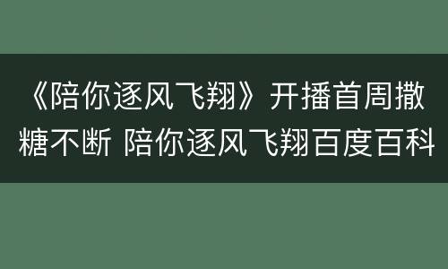 《陪你逐风飞翔》开播首周撒糖不断 陪你逐风飞翔百度百科