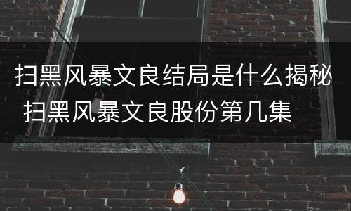 扫黑风暴文良结局是什么揭秘 扫黑风暴文良股份第几集