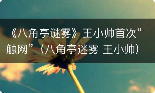 《八角亭谜雾》王小帅首次“触网”（八角亭迷雾 王小帅）