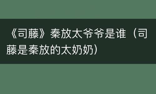 《司藤》秦放太爷爷是谁（司藤是秦放的太奶奶）