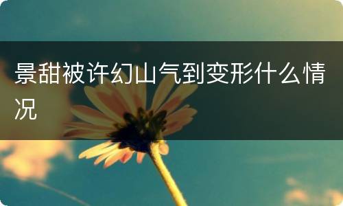 景甜被许幻山气到变形什么情况