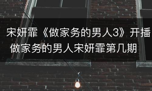 宋妍霏《做家务的男人3》开播 做家务的男人宋妍霏第几期