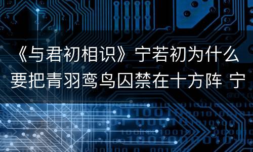 《与君初相识》宁若初为什么要把青羽鸾鸟囚禁在十方阵 宁若初骗了青羽鸾鸟吗