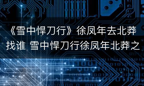 《雪中悍刀行》徐凤年去北莽找谁 雪中悍刀行徐凤年北莽之行谁买他死