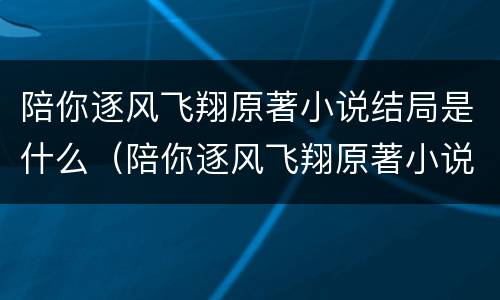 陪你逐风飞翔原著小说结局是什么（陪你逐风飞翔原著小说结局是什么）
