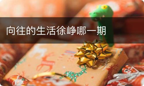 向往的生活徐峥哪一期