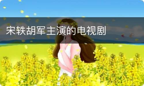 宋轶胡军主演的电视剧
