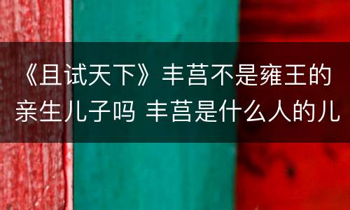 《且试天下》丰莒不是雍王的亲生儿子吗 丰莒是什么人的儿子