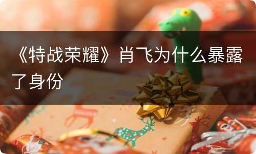 《特战荣耀》肖飞为什么暴露了身份