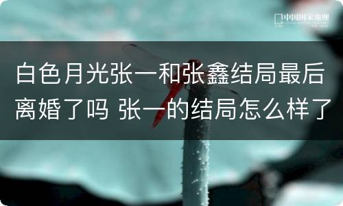 白色月光张一和张鑫结局最后离婚了吗 张一的结局怎么样了