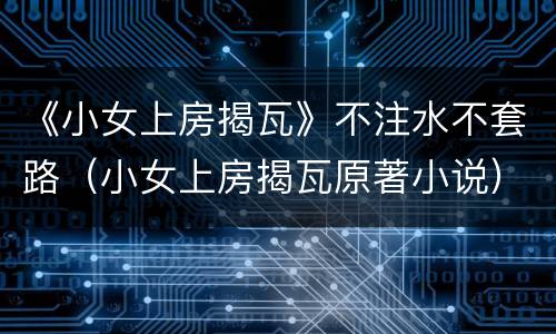 《小女上房揭瓦》不注水不套路（小女上房揭瓦原著小说）