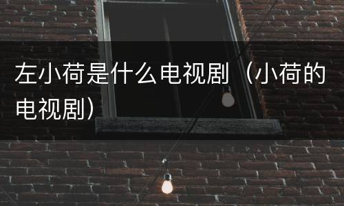 左小荷是什么电视剧（小荷的电视剧）