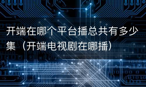 开端在哪个平台播总共有多少集（开端电视剧在哪播）