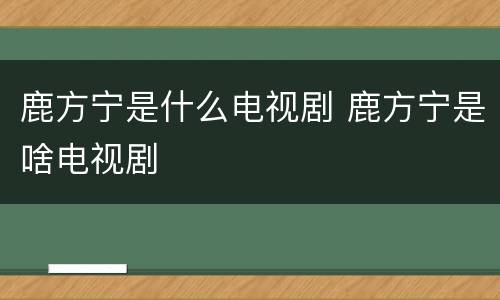鹿方宁是什么电视剧 鹿方宁是啥电视剧