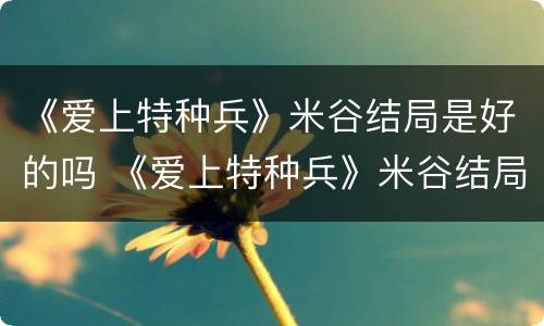 《爱上特种兵》米谷结局是好的吗 《爱上特种兵》米谷结局是好的吗知乎