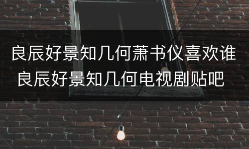 良辰好景知几何萧书仪喜欢谁 良辰好景知几何电视剧贴吧