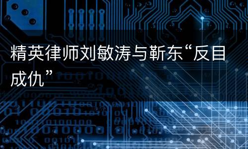 精英律师刘敏涛与靳东“反目成仇”