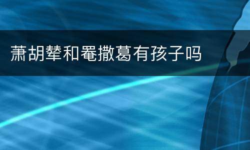 萧胡辇和罨撒葛有孩子吗