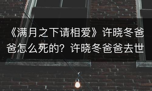 《满月之下请相爱》许晓冬爸爸怎么死的？许晓冬爸爸去世的真相是什么？