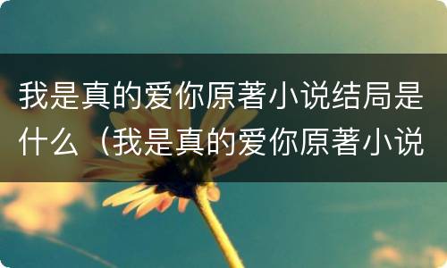 我是真的爱你原著小说结局是什么（我是真的爱你原著小说结局是什么意思）