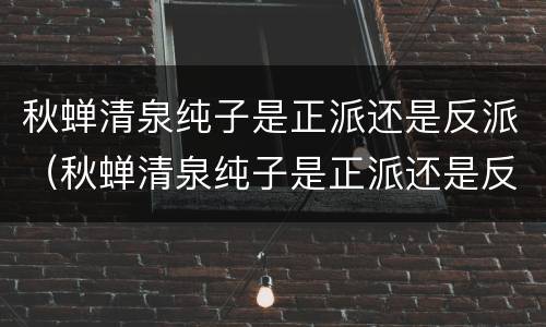 秋蝉清泉纯子是正派还是反派（秋蝉清泉纯子是正派还是反派）