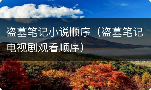 盗墓笔记小说顺序（盗墓笔记电视剧观看顺序）