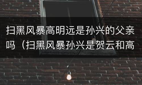 扫黑风暴高明远是孙兴的父亲吗（扫黑风暴孙兴是贺云和高明远）