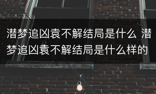 潜梦追凶袁不解结局是什么 潜梦追凶袁不解结局是什么样的