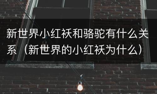 新世界小红袄和骆驼有什么关系（新世界的小红袄为什么）