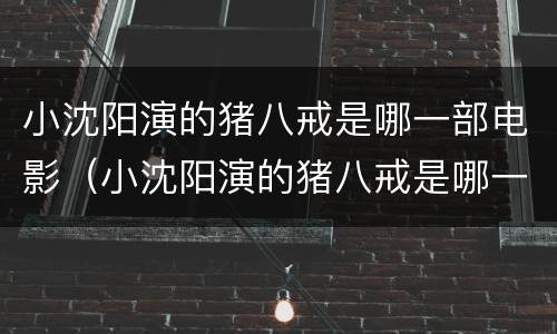 小沈阳演的猪八戒是哪一部电影（小沈阳演的猪八戒是哪一部电影西游记女儿国）