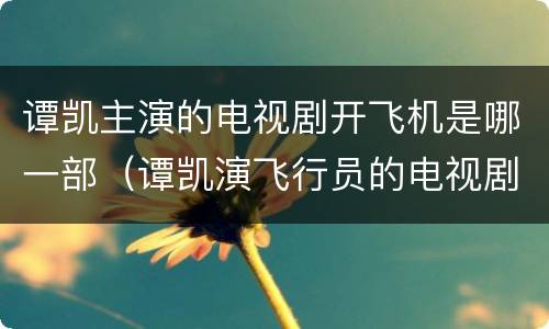 谭凯主演的电视剧开飞机是哪一部（谭凯演飞行员的电视剧）