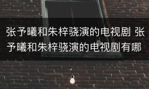 张予曦和朱梓骁演的电视剧 张予曦和朱梓骁演的电视剧有哪些