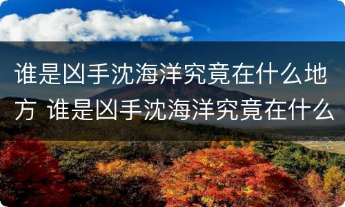 谁是凶手沈海洋究竟在什么地方 谁是凶手沈海洋究竟在什么地方被抓