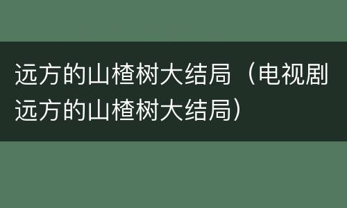 远方的山楂树大结局（电视剧远方的山楂树大结局）