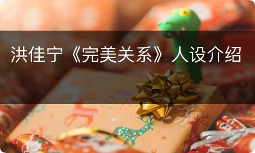 洪佳宁《完美关系》人设介绍