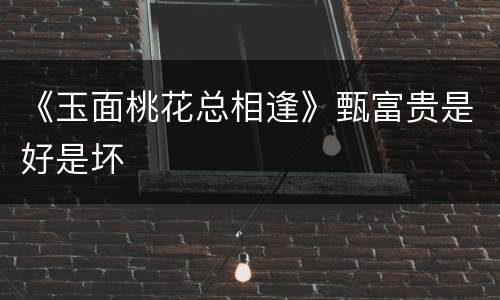 《玉面桃花总相逢》甄富贵是好是坏
