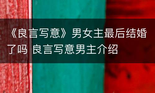 《良言写意》男女主最后结婚了吗 良言写意男主介绍