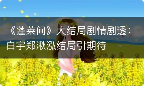 《蓬莱间》大结局剧情剧透：白宇郑湫泓结局引期待