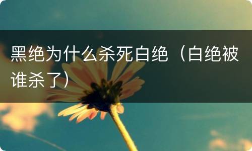 黑绝为什么杀死白绝（白绝被谁杀了）
