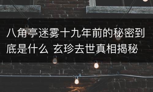 八角亭迷雾十九年前的秘密到底是什么 玄珍去世真相揭秘