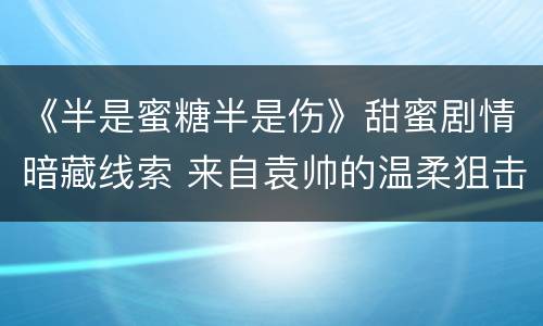 《半是蜜糖半是伤》甜蜜剧情暗藏线索 来自袁帅的温柔狙击