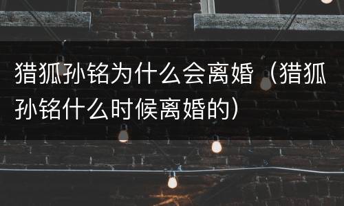 猎狐孙铭为什么会离婚（猎狐孙铭什么时候离婚的）