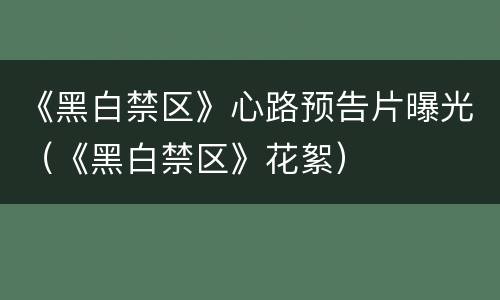 《黑白禁区》心路预告片曝光（《黑白禁区》花絮）